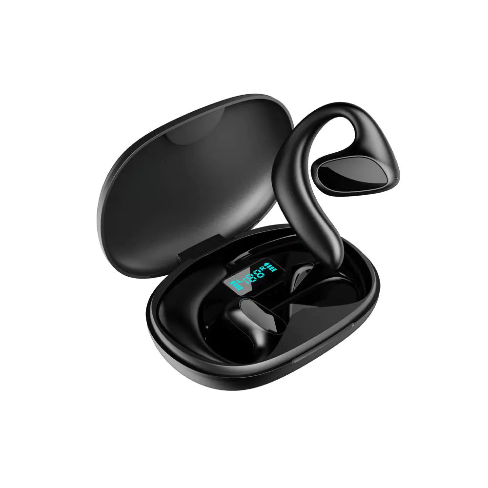 World Language Translator Earbuds