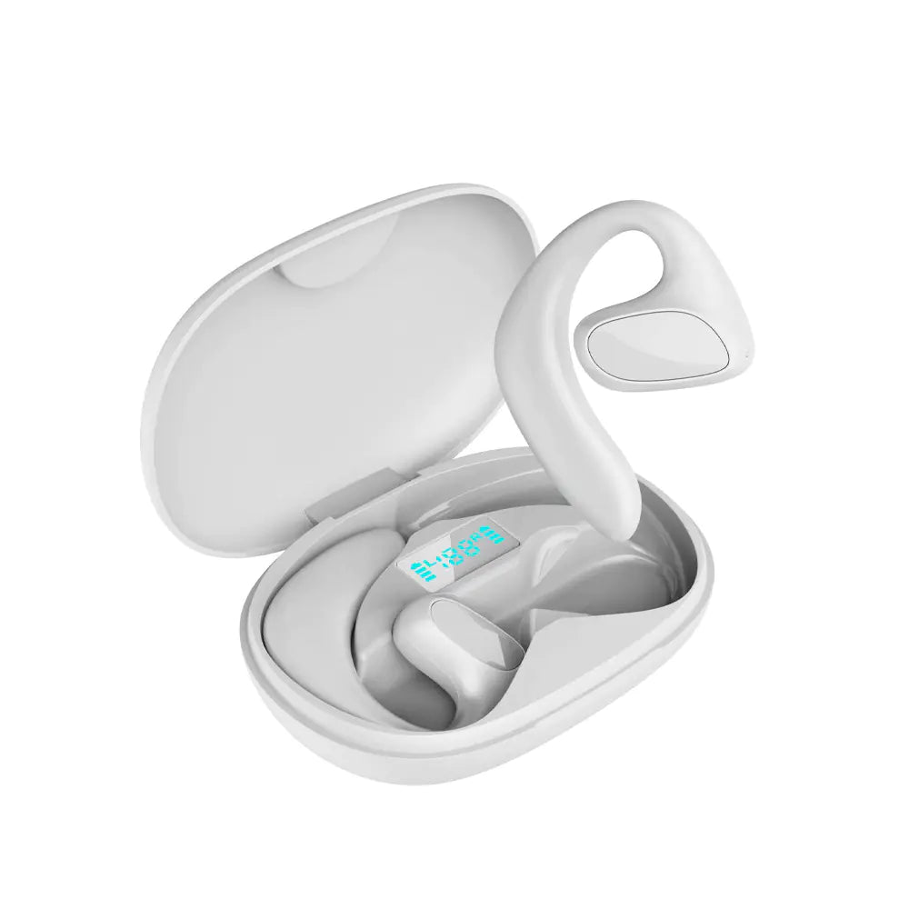World Language Translator Earbuds