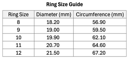 Everyday Wellness & Activity Insights Smart Ring