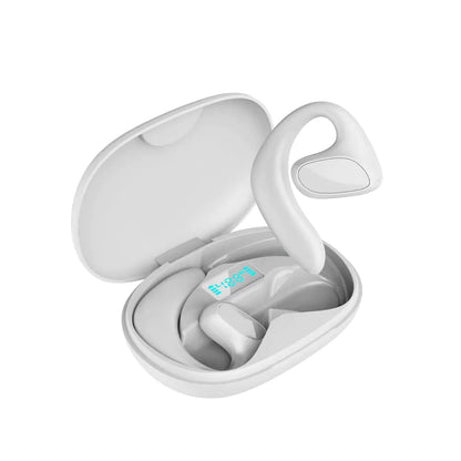 World Language Translator Earbuds